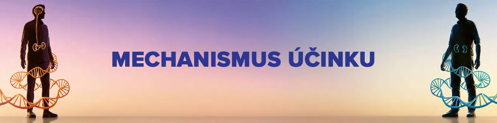 Mechanizmus účinku