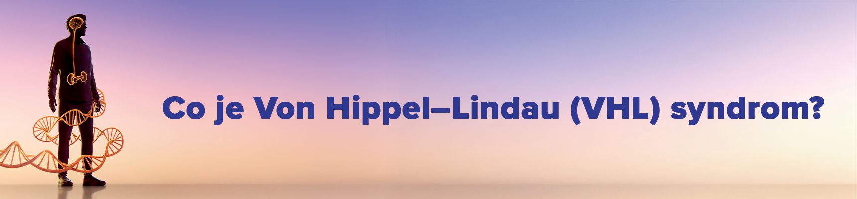 Co je VHL?