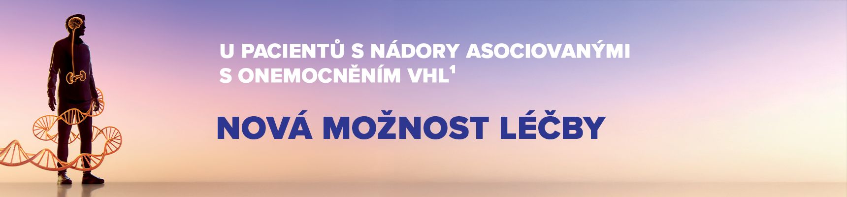 U pacientů s nádory asociovanými s onemocněním VHL
Nová možnost léčby