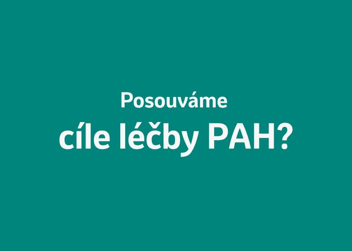 náhledový obrázek
